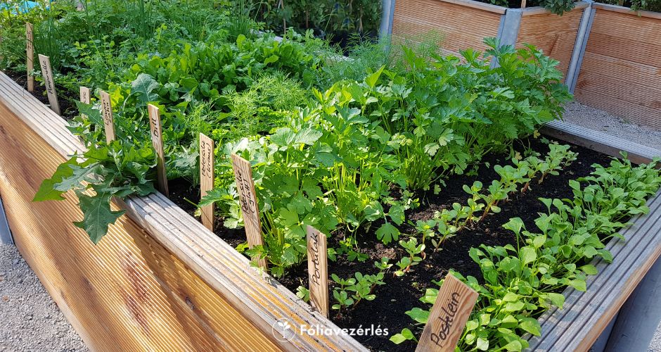 Kása Gábor ügyfél interjú